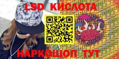 гашик Будённовск