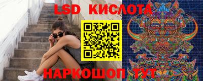 гашик Будённовск