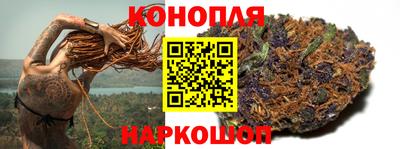 гашик Будённовск