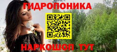 гашик Будённовск