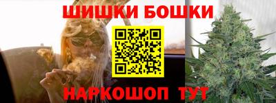 гашик Будённовск