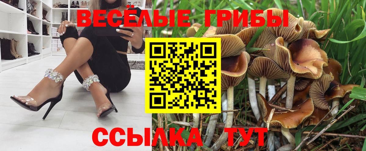 Галлюциногенные грибы мухоморы Сегежа