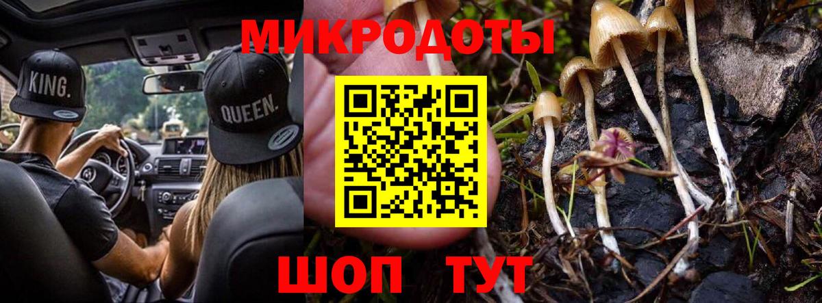 Сегежа  Галлюциногенные грибы Magic Shrooms  Вход с VPN 